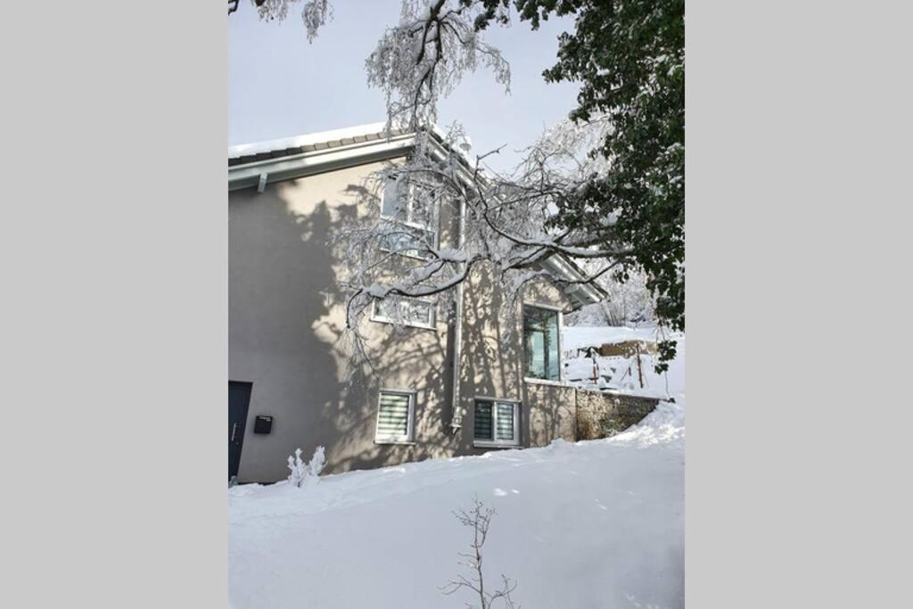 Ferienwohnung Am Musbach In Badenweiler-Sehringen Kültér fotó
