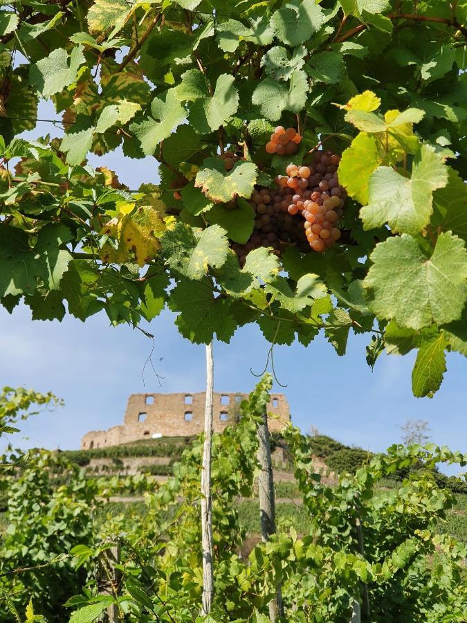 Ferienwohnung Am Musbach In Badenweiler-Sehringen Kültér fotó