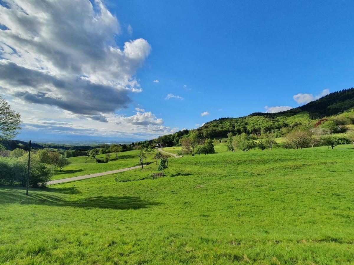 Ferienwohnung Am Musbach In Badenweiler-Sehringen Kültér fotó